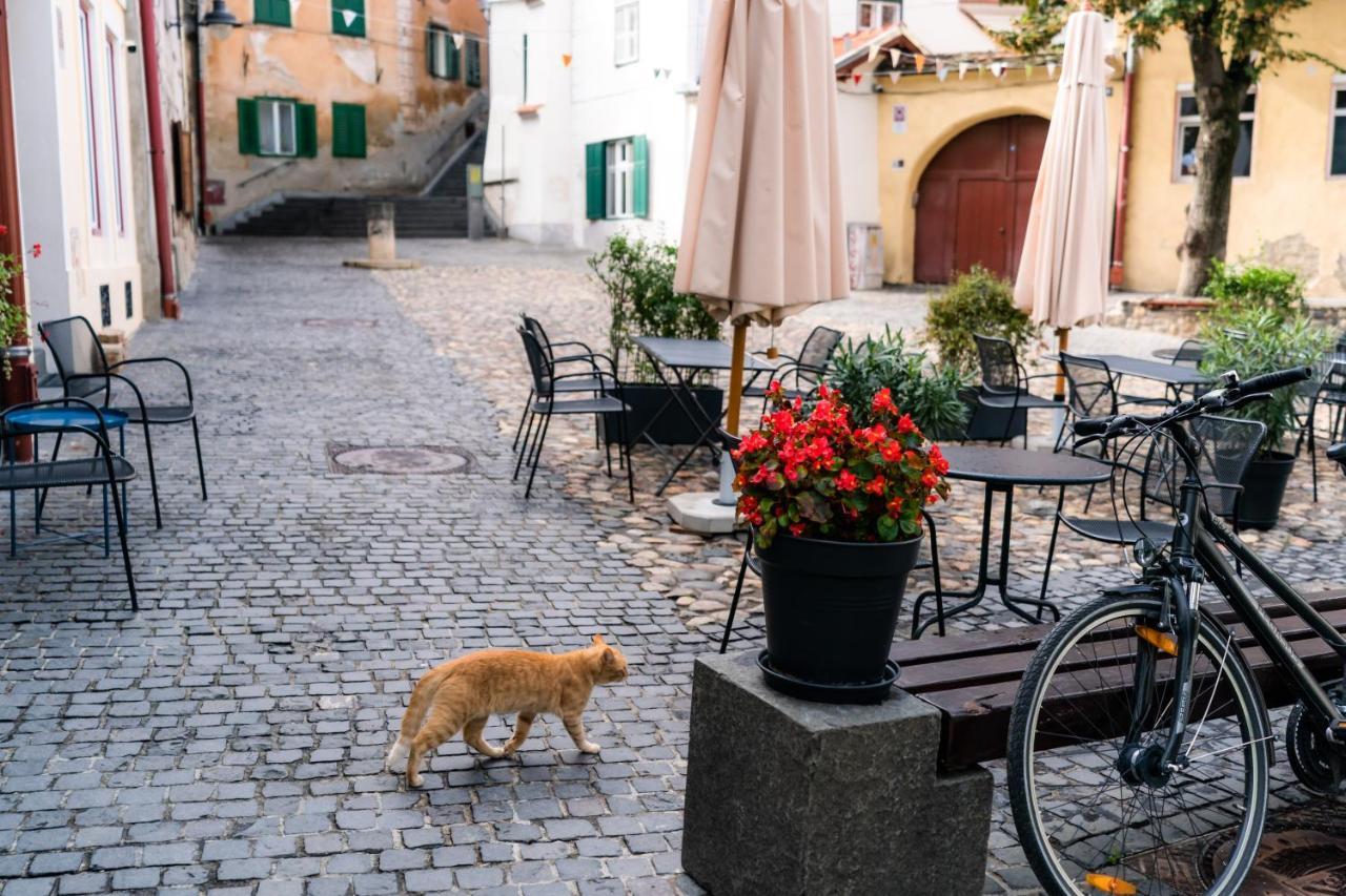 Charming Studio Ideal For Getaways Or Workations In Sibiu'S Medieval City Center Exterior photo